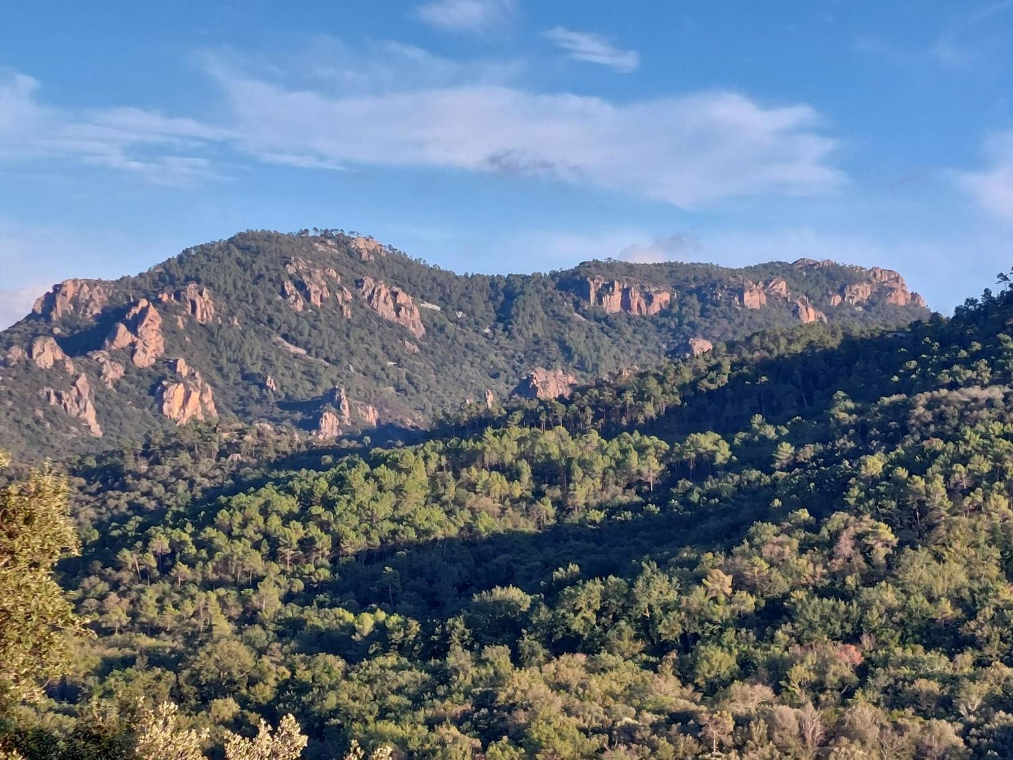 Sawubona Otel Les Adrets-de-l'Esterel Dış mekan fotoğraf